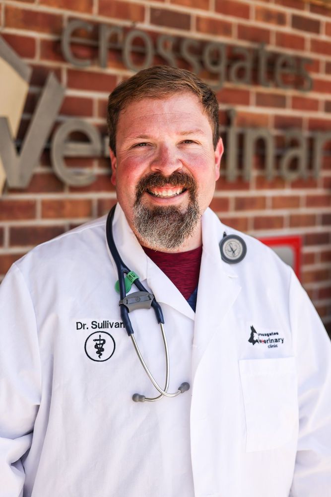 Dr. Todd Sullivan, DVM · Owner & Lead Veterinarian